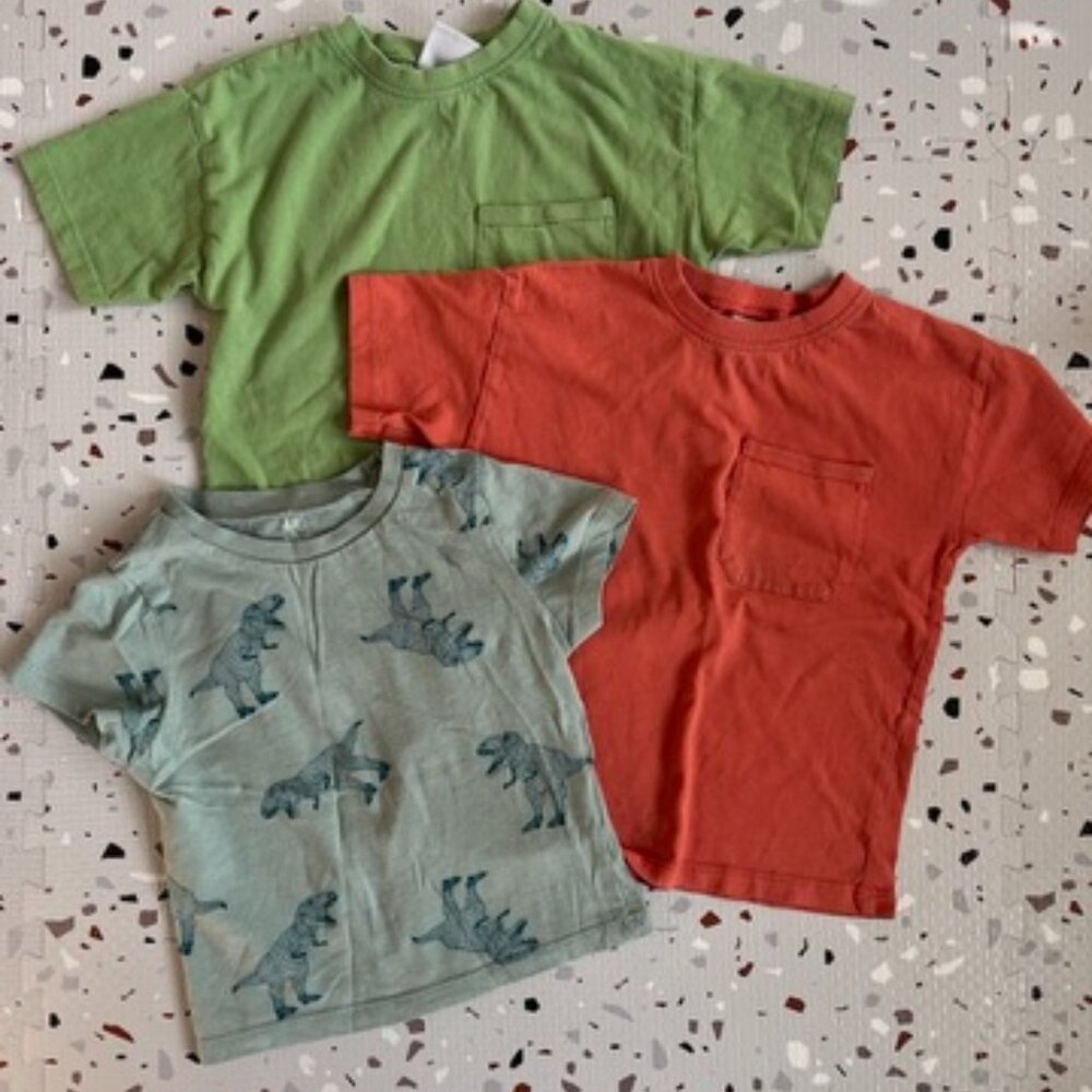 Set of Three T Shirts, Orange, Green and Dino
